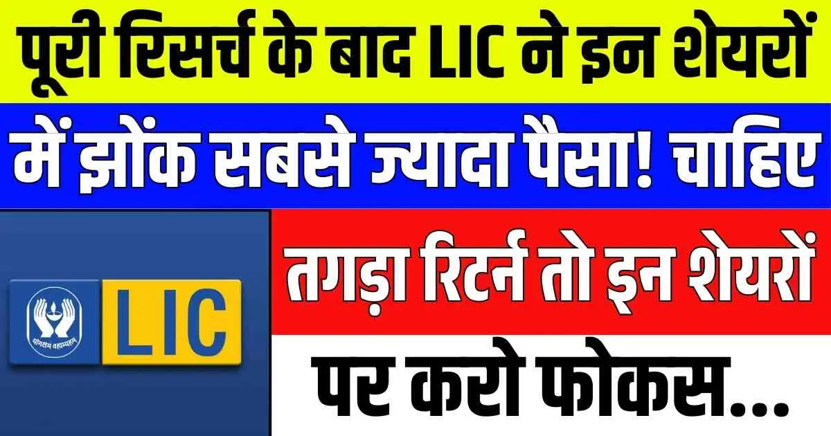 पूरी रिसर्च के बाद LIC ने इन शेयरों में झोंक सबसे ज्यादा पैसा! चाहिए तगड़ा रिटर्न तो इन शेयरों पर करो फोकस